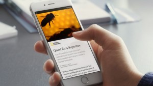 Facebook 記事を10倍以上早く表示する「Instant Article(インスタント記事)」を 4月より全てのメディアに公開