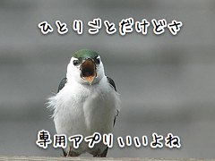 Twitterクライアントが重い？ツイート専用アプリの出番です。