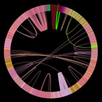 無限にリミックスを生成してくれるWebサービス「The Infinite Jukebox」