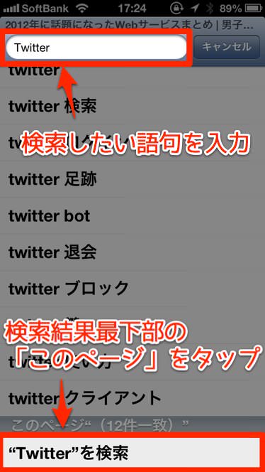 Safari search 2