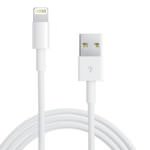 AppleStoreで無償交換！iPhoneの充電ケーブル（Lightningケーブル）が接触不良や断線している人は要チェック！