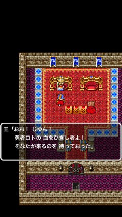 Dragon quest portal 6