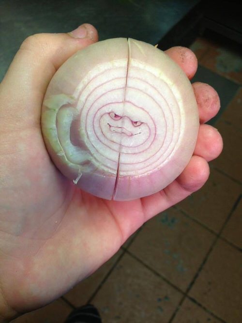 Twitter onion