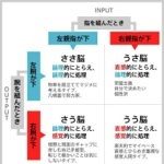 あなたはどのタイプ？「利き脳」を4タイプに分類した画像が話題