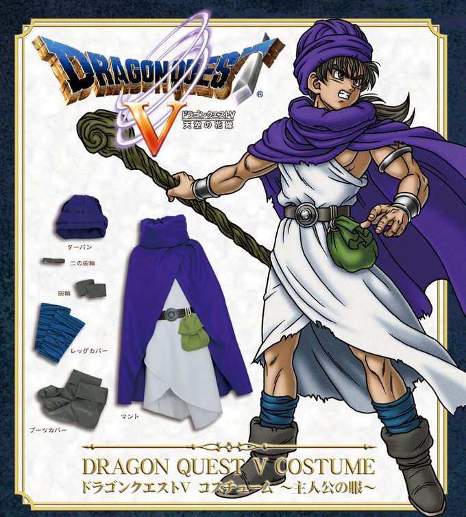 Dragonquestv costume 1