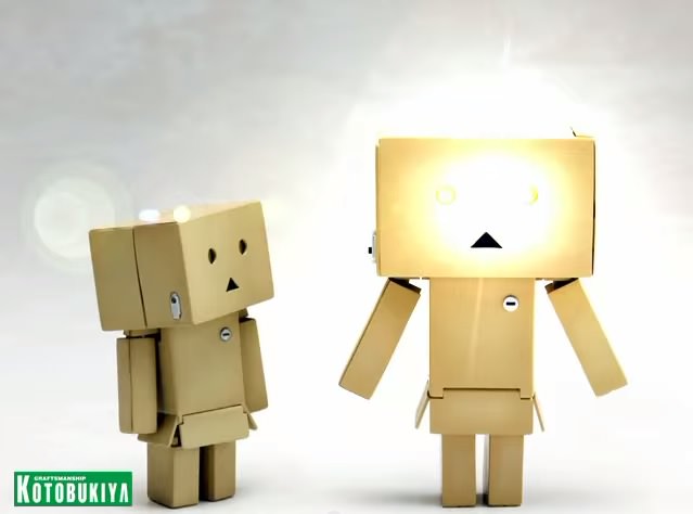 Danbo action figure 5