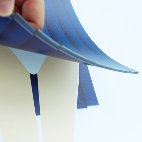 skirt-calendar-1.jpg Skirt calendar 1