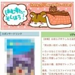 月間1億PV！大手2chまとめサイト「ハム速」の管理人がアクセス解析データの一部を公開