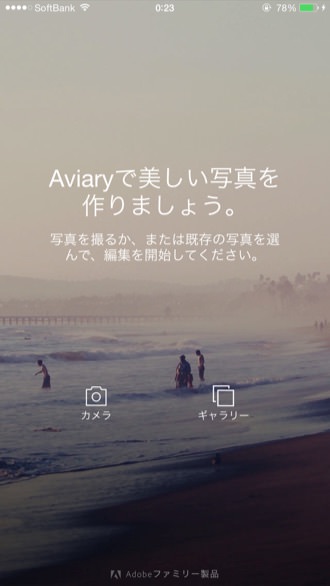 Aviary 1