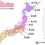 2015年桜の開花・満開予想発表!東京は3/23に開花、満開は3/31頃