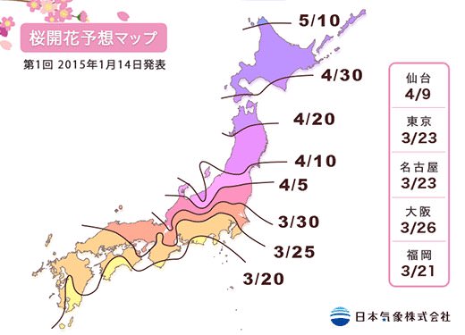 2015年桜の開花・満開予想発表！東京は3/23に開花、満開は3/31頃