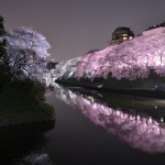 これは絶景!千鳥ヶ淵の桜が美しすぎると話題