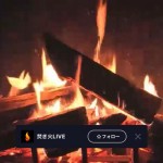 やばいめっちゃ癒される ―― LINE LIVEで「焚き火」がライブ配信中!