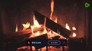 やばいめっちゃ癒される ―― LINE LIVEで「焚き火」がライブ配信中!