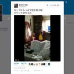 【可愛すぎ】「自分のくしゃみで吹き飛ぶ娘」の動画がTwitterで話題