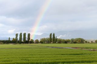 こんなの見たことない！「虹の端っこ」を収めた写真に反響殺到