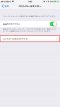 ios11-record-2 ios11-record-2