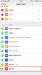 ios11-record-3 ios11-record-3