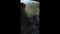 toyota-noah-blackfriday toyota-noah-blackfriday