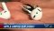 airpods-explosion airpods-explosion