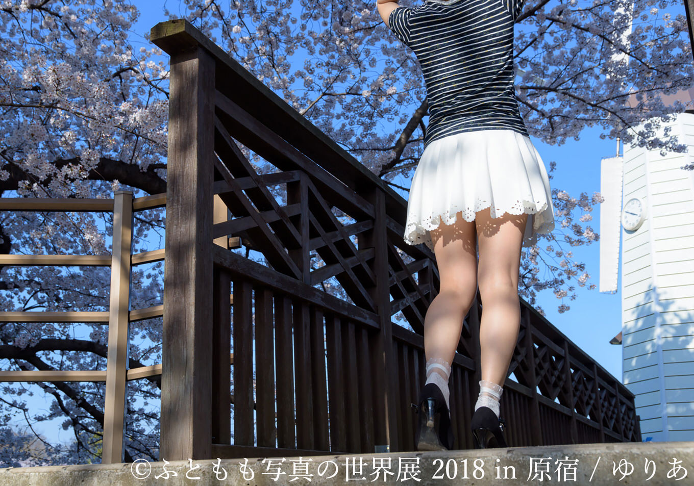 futomomoart-20186 futomomoart-20186