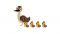 cargamo cargamo