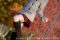 futomomo-2018-fall2 futomomo-2018-fall2