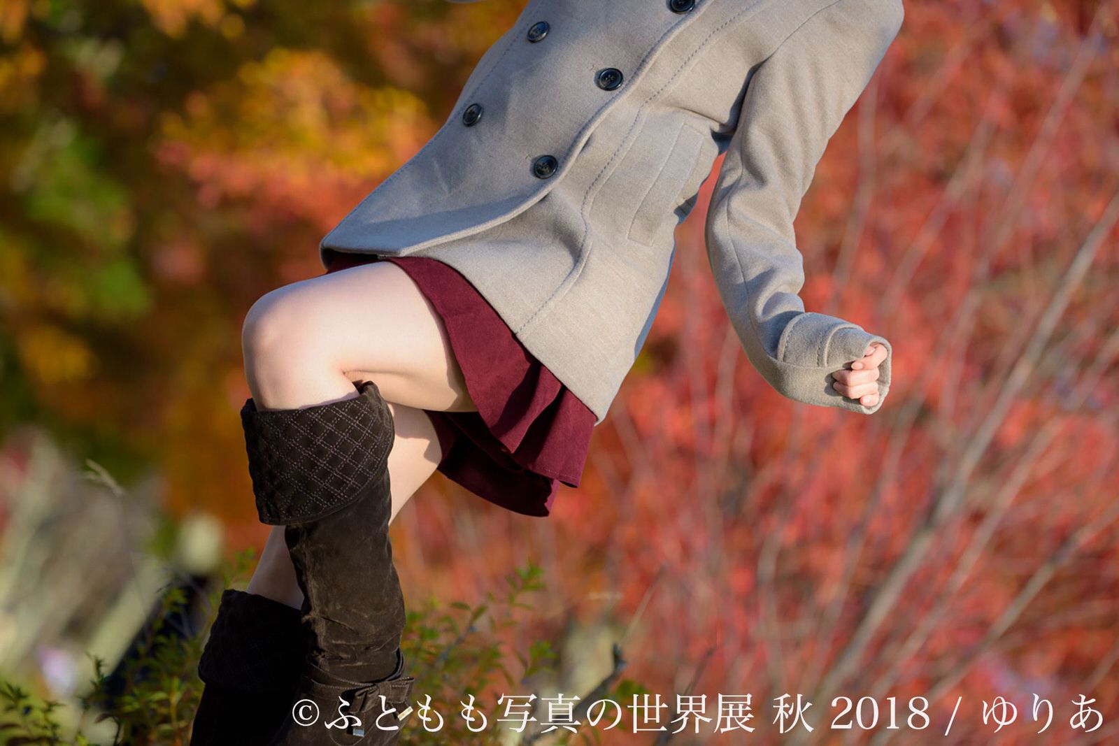 futomomo-2018-fall2
