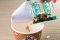 shirunashi-donbe-17 shirunashi-donbe-17