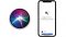 siri-shortcut-google-assistant siri-shortcut-google-assistant