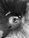 Apple-Shot-on-iPhone-Challenge-winners-Blake-Marvin-02262019 Apple-Shot-on-iPhone-Challenge-winners-Blake-Marvin-02262019