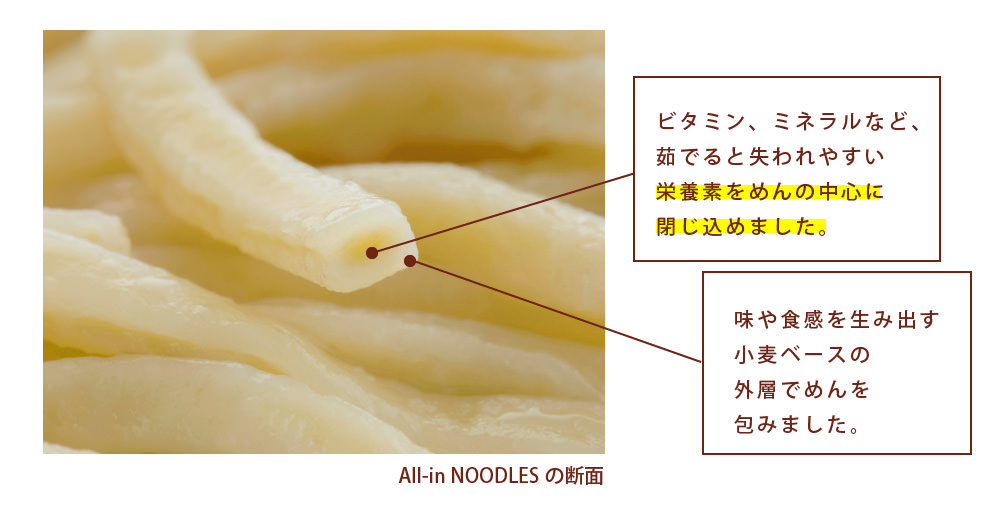 all-in-noodle-3