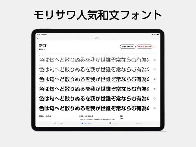 morisawa-passport-for-ipad-2