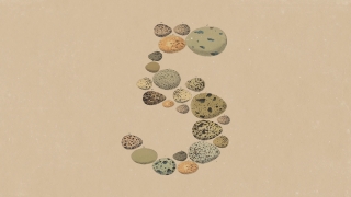 Anthropic、「Claude Opus 5」を提供開始　最上位級の性能を半額相当のコストで実現
